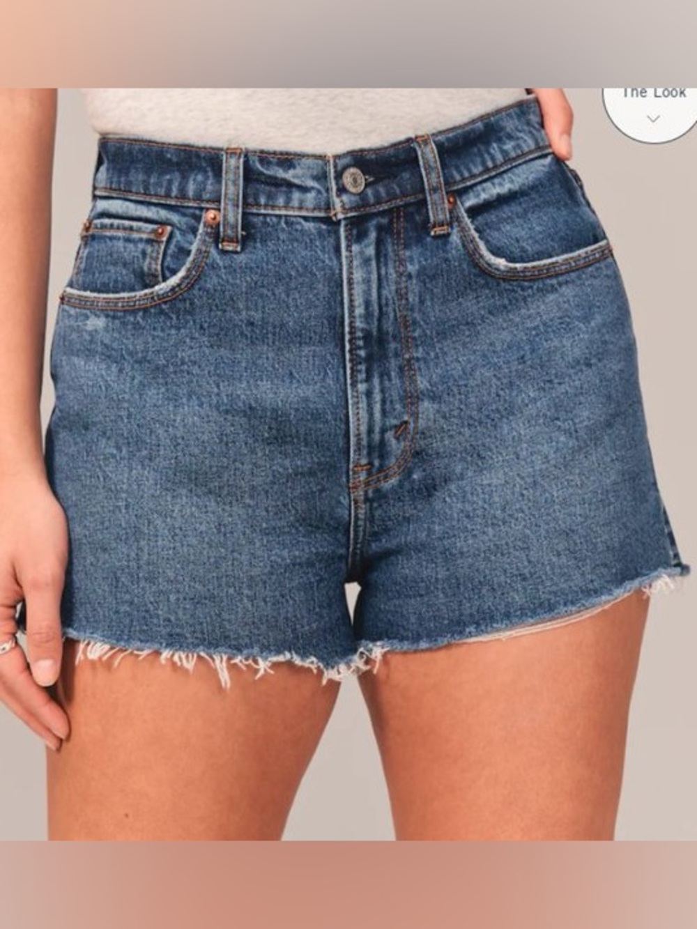 Abercrombie Curve Love The 4” Mom Short High Rise Size 35 / 20